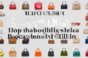 国产手提包排名前十名品牌；国产手提包排名前十名品牌有哪些