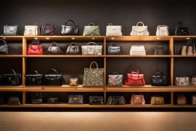 女士品牌包包有哪些牌子最好，女士品牌包包有哪些牌子最好看