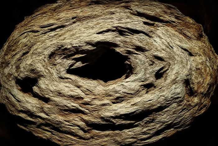 国际名牌包商标图案（国际名牌包商标图案是什么）