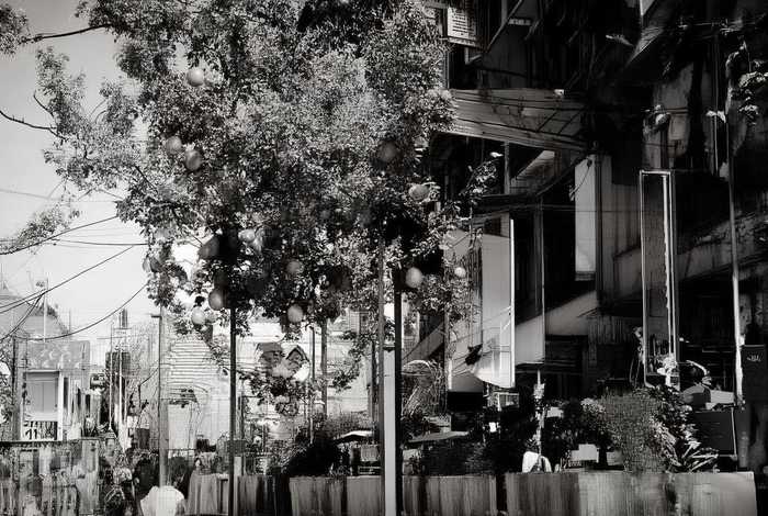 国内什么牌子的矶竿质量最好；国内什么牌子的矶竿质量最好用