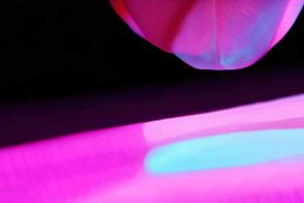 蔻驰的标志logo（蔻驰的标志logo怎么读）