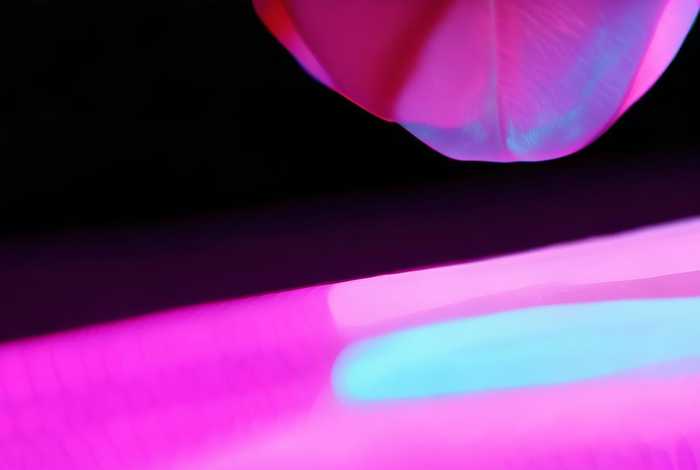 蔻驰的标志logo（蔻驰的标志logo怎么读）