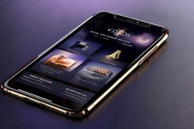 奢侈品app平台，奢侈品app平台哪个保真