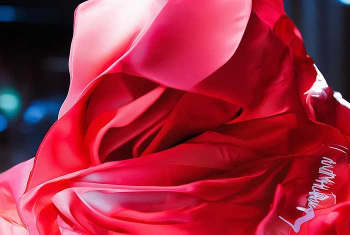 蔻驰商标图片logo(蔻驰商标图片 大图) 蔻驰商标图片logo(蔻驰商标图片 大图)