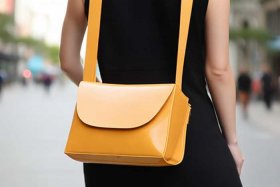 女斜挎包单肩（新款单肩斜挎包女士）