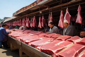批发牛肉哪里进货渠道 批发牛肉哪里进货渠道山东