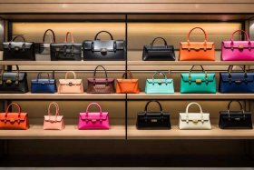 女士包包有些什么品牌，女士包包有些什么品牌的