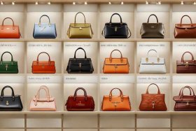 女士包包品牌大全图片；女士包包品牌大全图片及价格