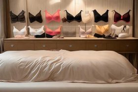 女士内衣十大品牌排行榜 女士内衣十大品牌排行榜及价格