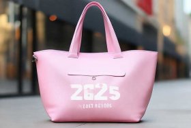 品牌帆布包女款2025爆款；品牌帆布包女款2025爆款价格