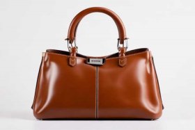 女士手提包包图片（女士手提小包图片及价格）