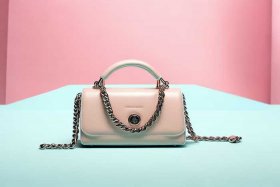 女式小型手提包海报（女士小型手提包）