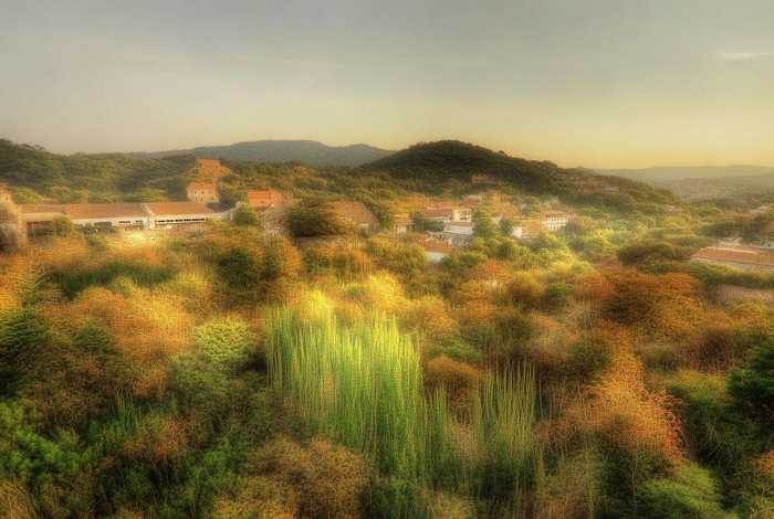 女包什么品牌大气还不贵（女包什么品牌大气还不贵的）