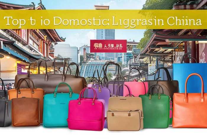 国产箱包品牌排名，国产箱包品牌排名前十