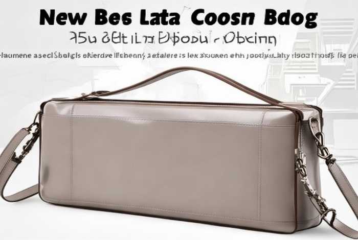 女士休闲包包新款斜挎包;女士休闲包包新款斜挎包图片 女士休闲包包新款斜挎包;女士休闲包包新款斜挎包图片