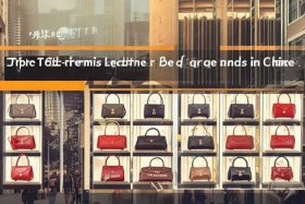 国内皮包品牌排行榜前十名（国内皮包品牌排行榜前十名有哪些）