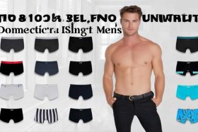 国产十大品牌男式裤头、国产十大品牌男式裤头排名