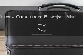 男款皮包哪个品牌性价比高 男款皮包哪个品牌性价比高又便宜