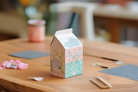 女生喜欢的简单迷你小手工，女生喜欢的简单迷你小手工牛奶纸盒子