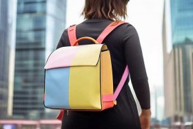 女士双肩背包最新款图片、女士双肩背包最新款图片大全