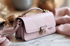 女士小型手提包推荐知乎、女士的小手提包