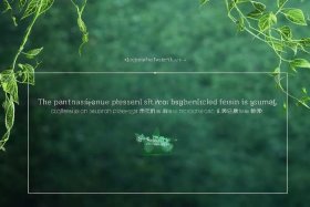 绿萝心理测评学生登录入口、绿萝心理测试学生端学生终端测评