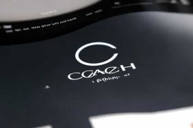 蔻驰官网入口、蔻驰官网入口辨真假