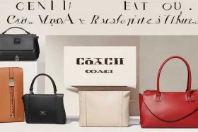 蔻驰必买十大经典包推荐，蔻驰必买十大经典包推荐图片