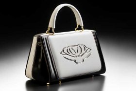 女士包牌子的样式；女士包牌子的样式图片