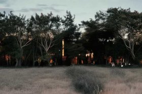 蔻驰女包千元内必买的经典款、蔻驰女包千元内必买的经典款有哪些