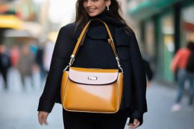 女士斜挎小包新款 - 女士斜挎小包新款图片