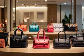 国内知名品牌包包有哪些牌子 - 国内知名品牌包包有哪些牌子的