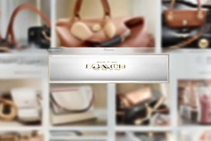 美国coach奥莱官网入口；coachoutlet美国奥莱官网入口