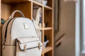 女士双肩包推荐 知乎、女士双肩包平价推荐