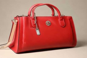 女式提包 女式提包图片及价格