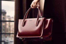 目前最受欢迎的女士包包 目前最受欢迎的女士包包品牌