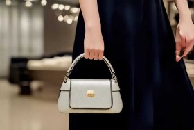 女士名牌包包有哪些牌子比较好、女士名牌包包有哪些牌子比较好看