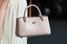 女士手包手拿包时尚（时尚精致女士手拿包）