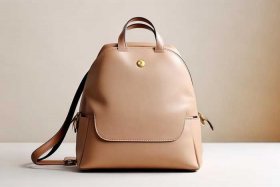 女士专用小背包单肩 - 女士专用小背包单肩包图片