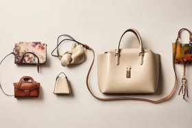 女士包包款式有哪几种类型 女士包包款式有哪几种类型图片