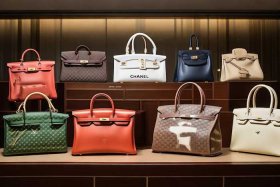 女士名牌包包有哪些 前十名（女士名牌包包有哪些 前十名品牌）