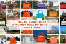 国内女包包品牌排行榜前十名，国内女包包品牌排行榜前十名图片