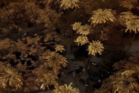 护肤品十大排名品牌有哪些呢 - 护肤品十大排名品牌有哪些呢女士