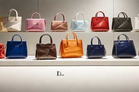 国内包包品牌dior；中国dior官网包包