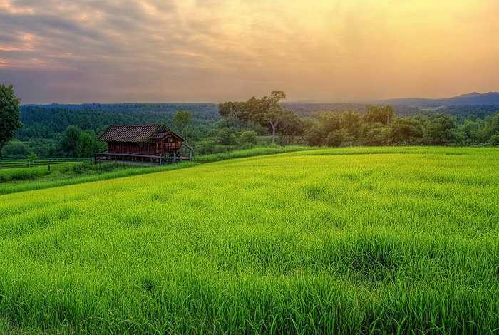 女包排名稻草人(稻草人女包是真皮吗) 女包排名稻草人(稻草人女包是真皮吗)
