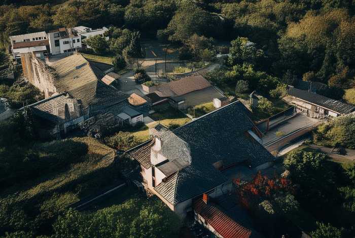 入门奢侈品包包花朵，奢侈品包花纹