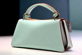 今年很流行的包包 今年很流行的包包款式