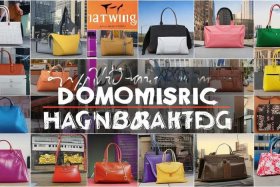 国内包的品牌有哪几种牌子，国内包的品牌有哪几种牌子的