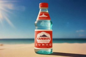 康师傅矿泉水90年代包装 - 康师傅矿泉水90年代包装图片