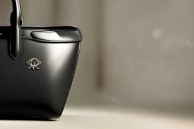 女士包包品牌图标 - 女士包包品牌图标图片